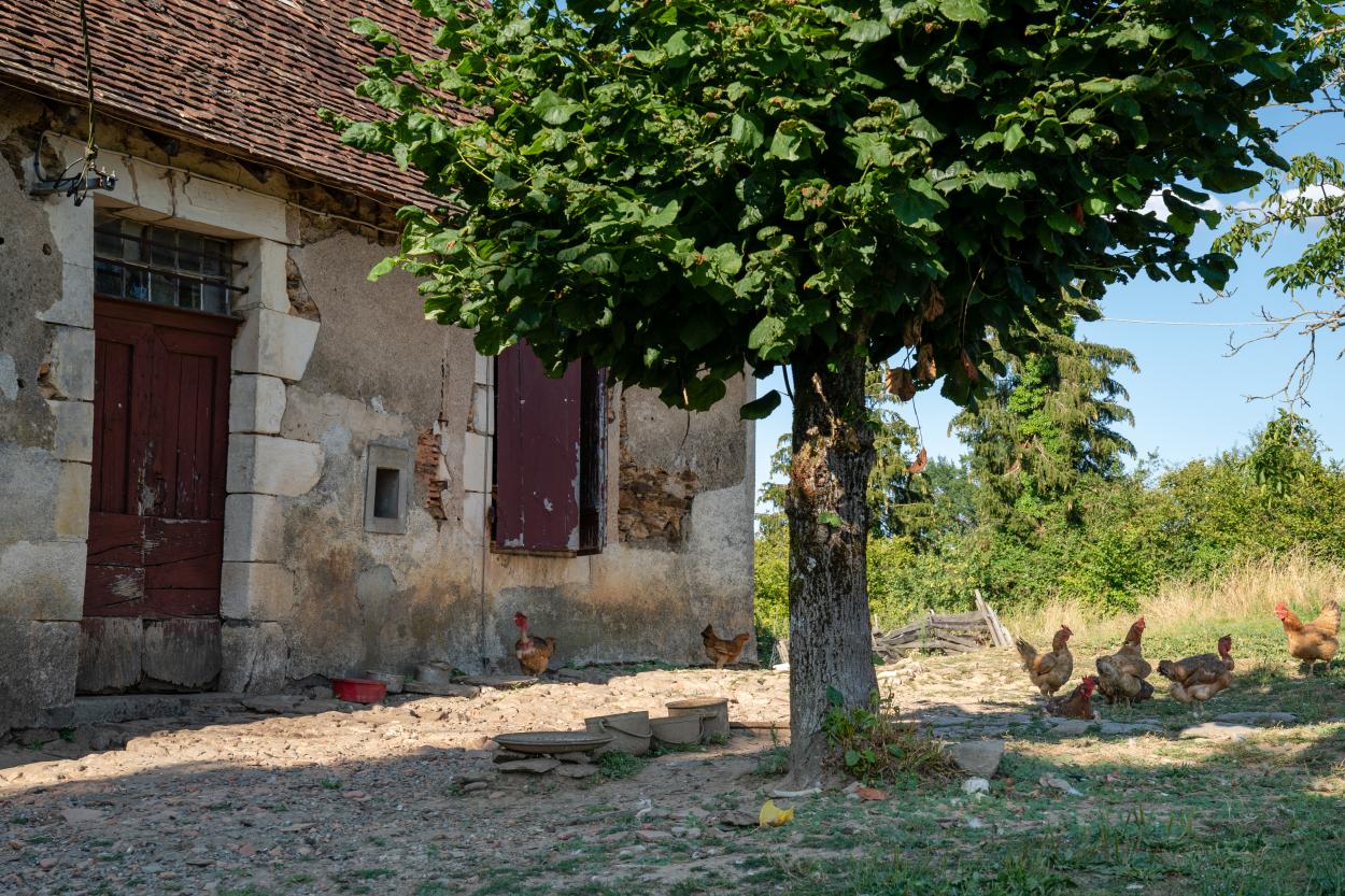 Dordogne-07921